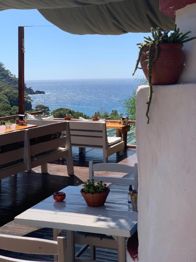 Bamboo Bungalow With Sea View In Kabak Bay, Oeluedeniz Fethiye Kültér fotó