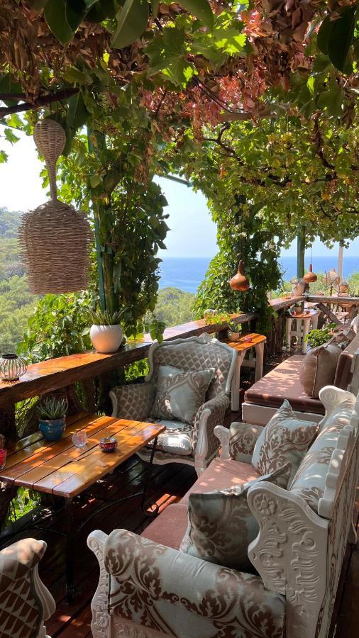 Bamboo Bungalow With Sea View In Kabak Bay, Oeluedeniz Fethiye Kültér fotó
